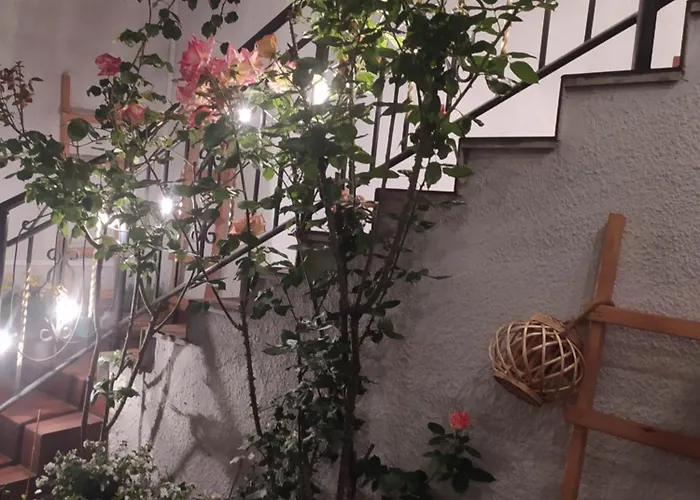 Bosski Wypoczynek * Jastarnia